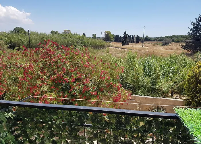 בית הארחה Affittacamere Rivabella Rivabella